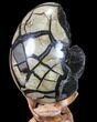 Septarian Dragon Egg Geode - Black Crystals #88160-1